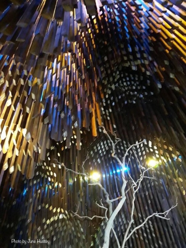 Tree of Knowledge, Barcaldine Queensland