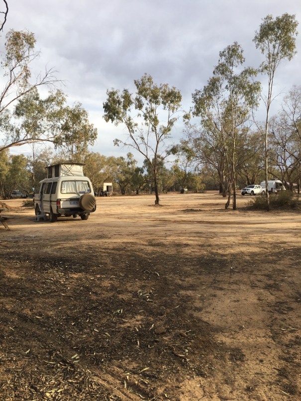 Paroo River nest Eulo, Queensland 2018