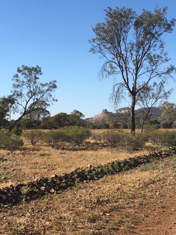 Castle Rock near Yaraka Queensland 