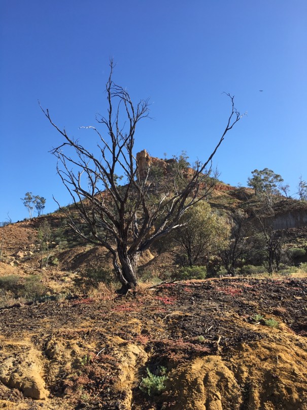 Castle Rock near Yaraka Queensland 