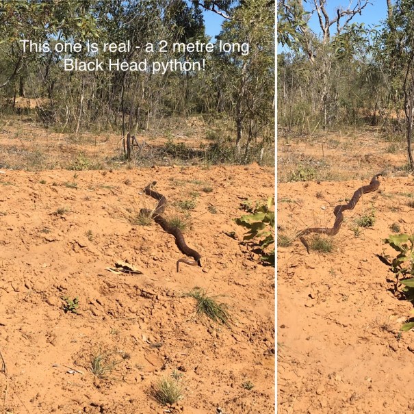 Lake Dunn Sculpture Trail Queensland