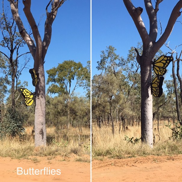 Lake Dunn Sculpture Trail Queensland 