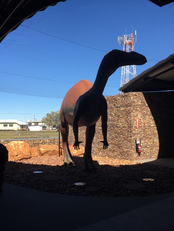 Muttaburrasaurus, Queensland 