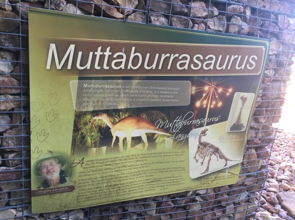 Muttaburrasaurus, Queensland 