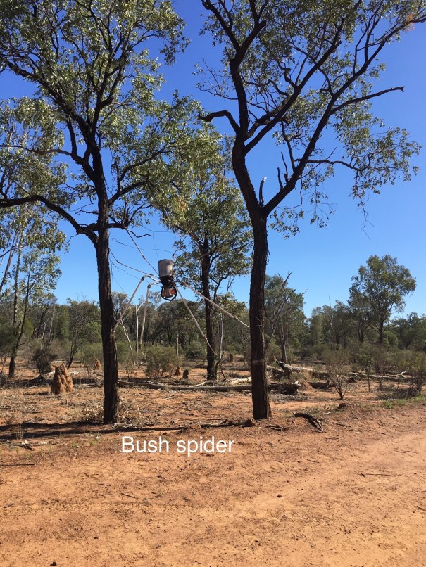 Lake Dunn Sculpture Trail Queensland 