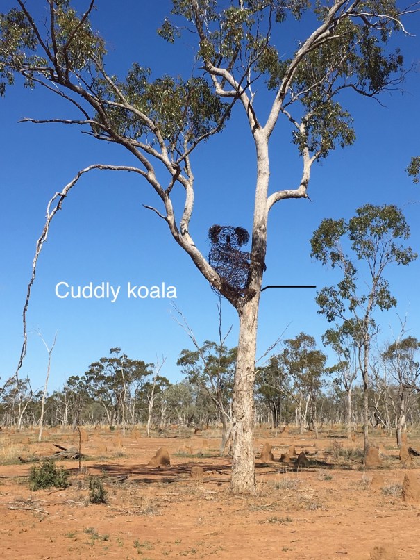 Lake Dunn Sculpture Trail Queensland 