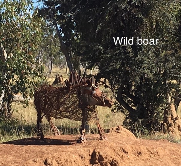 Lake Dunn Sculpture Trail Queensland