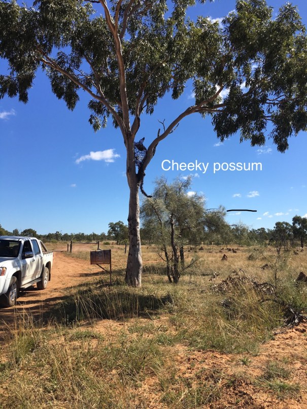 Lake Dunn Sculpture Trail Queensland 