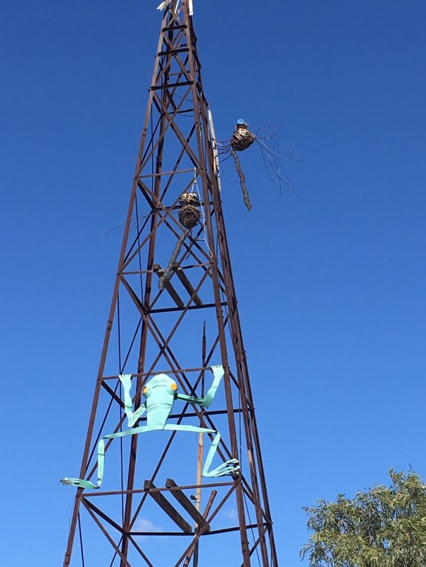 Lake Dunn Sculpture Trail Queensland 