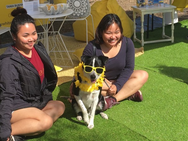 Moore Park Beach Arts Festival 