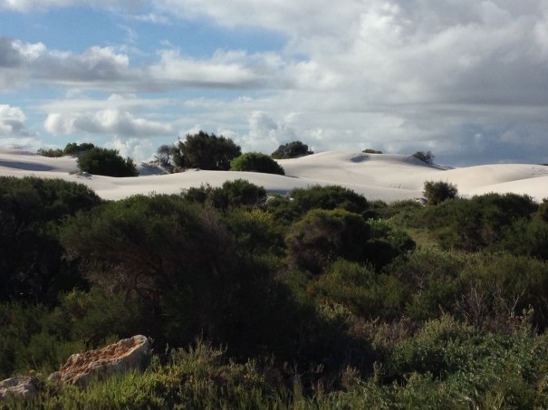 Sand dune at Cliff Head WA