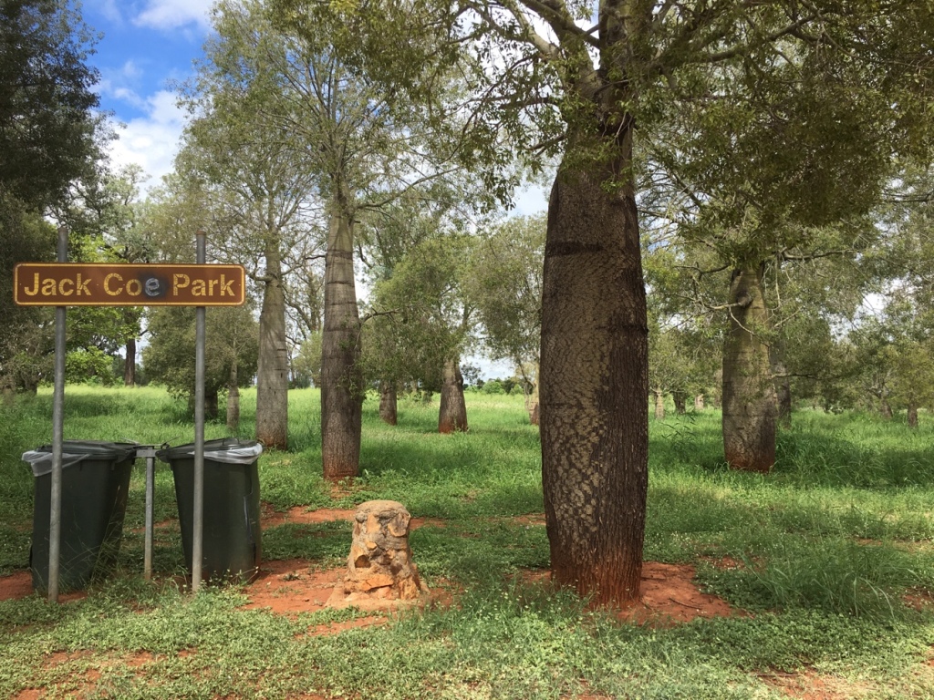 Jack Coe Park bottle trees