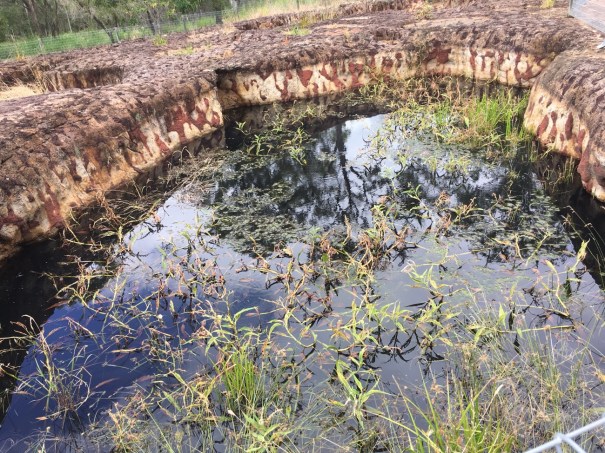 Mystery Craters, South Kolan, Queensland 