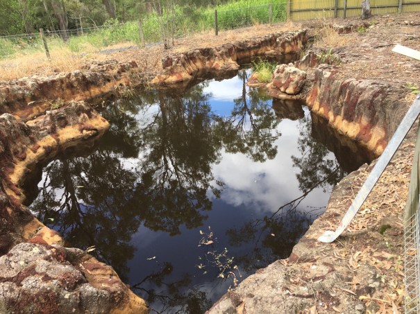 Mystery Craters, South Kolan, Queensland 